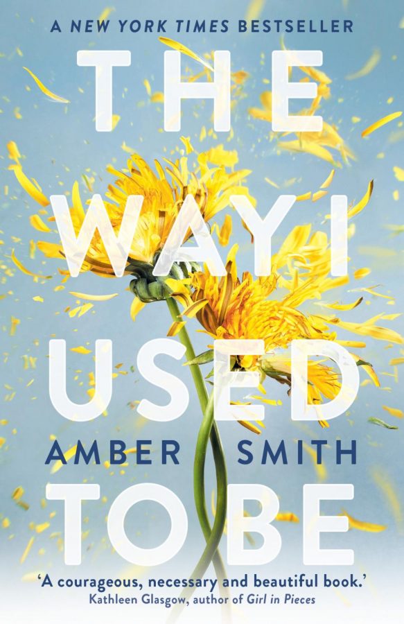 The cover of The Way I Used To Be by Amber Smith.