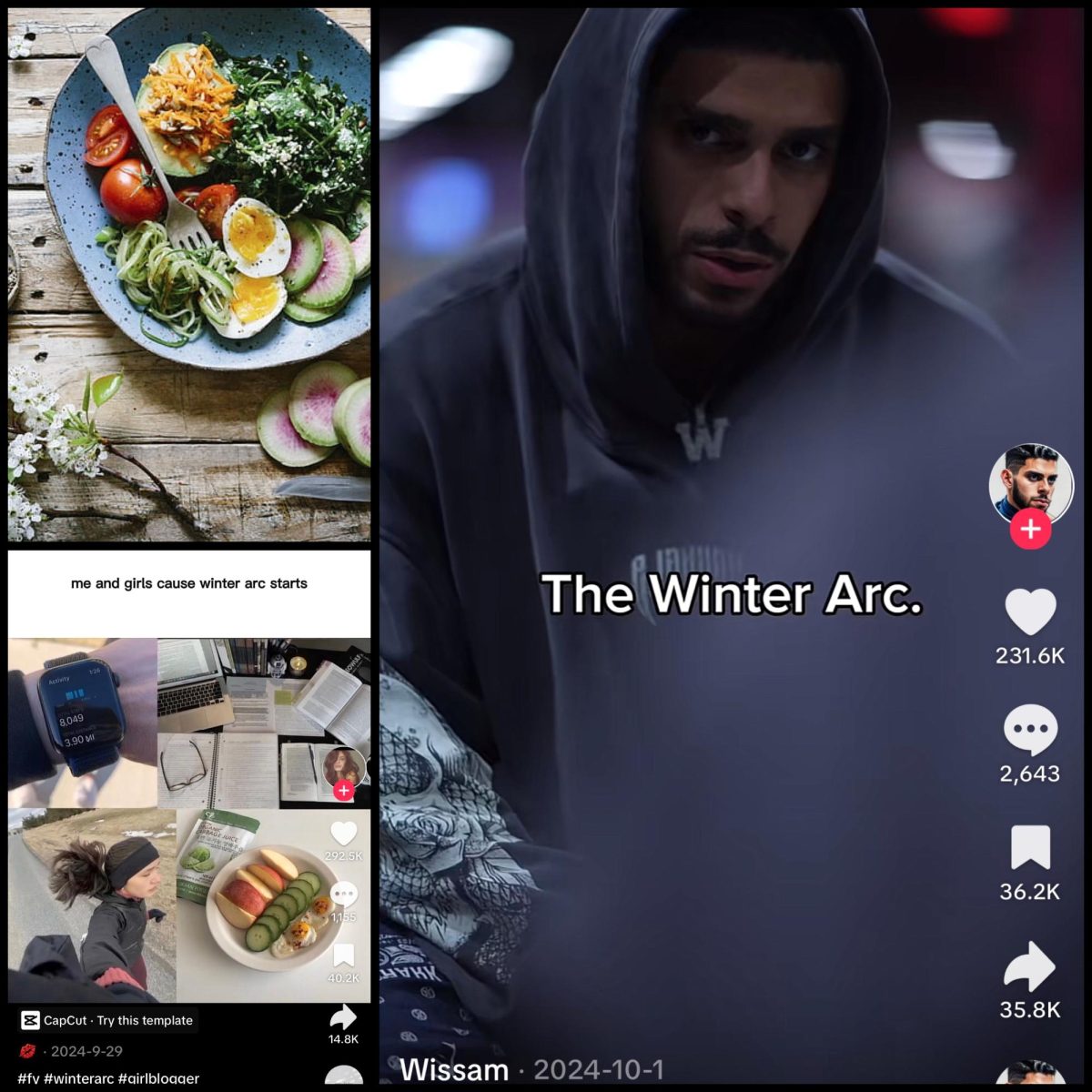 An array of TikTok’s mentioning the ‘Winter Arc’.