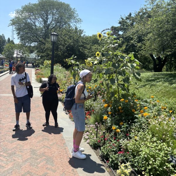 Senior Chance Thompson, left, spent last summer gardening through SYEP at the Lower East Side Ecology Center. One of the perks of the six-week experience was a field trip to the Brooklyn Botanic Garden. (photo: Chance Thompson)