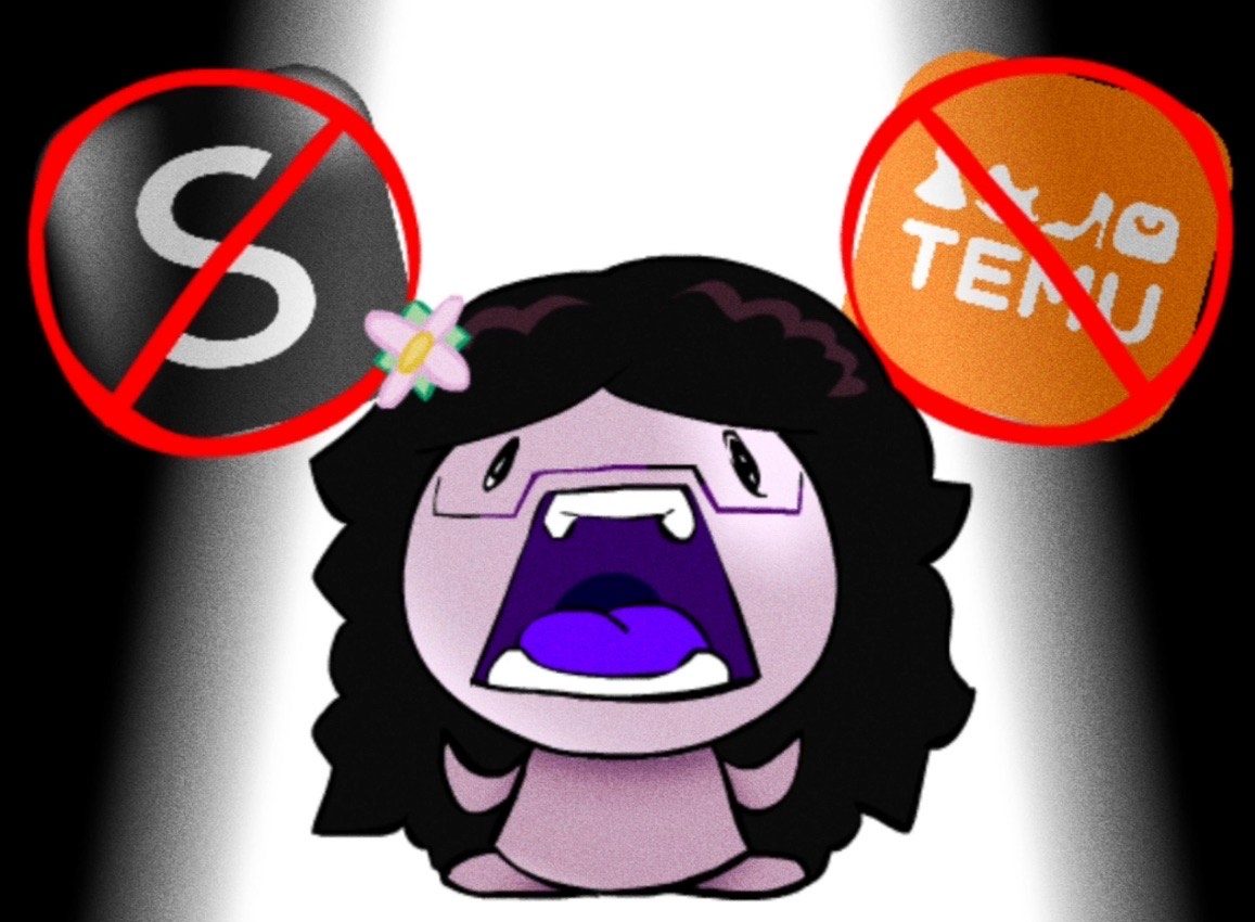 No more orders from Shein or Temu!