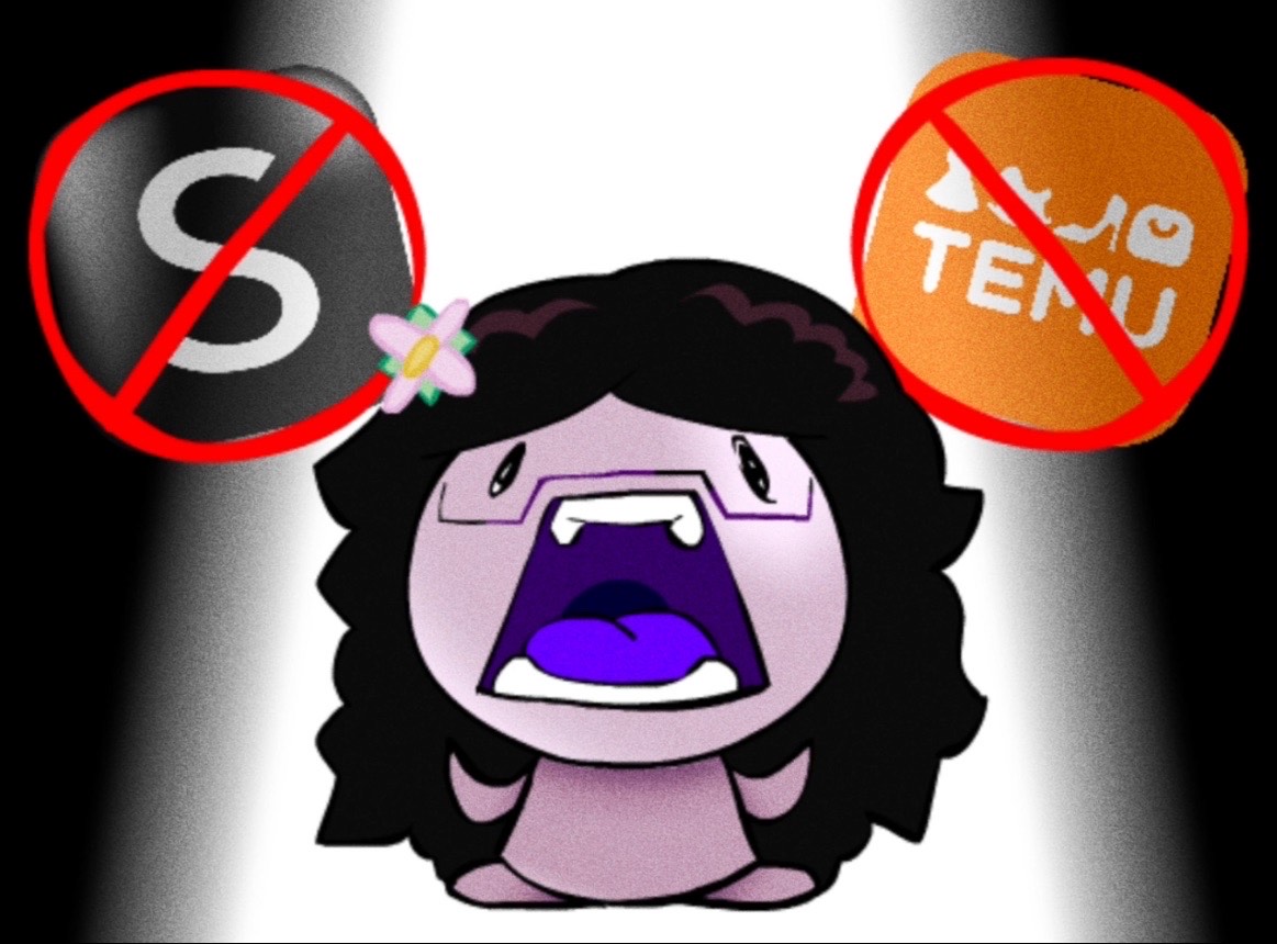 No more orders from Shein or Temu!